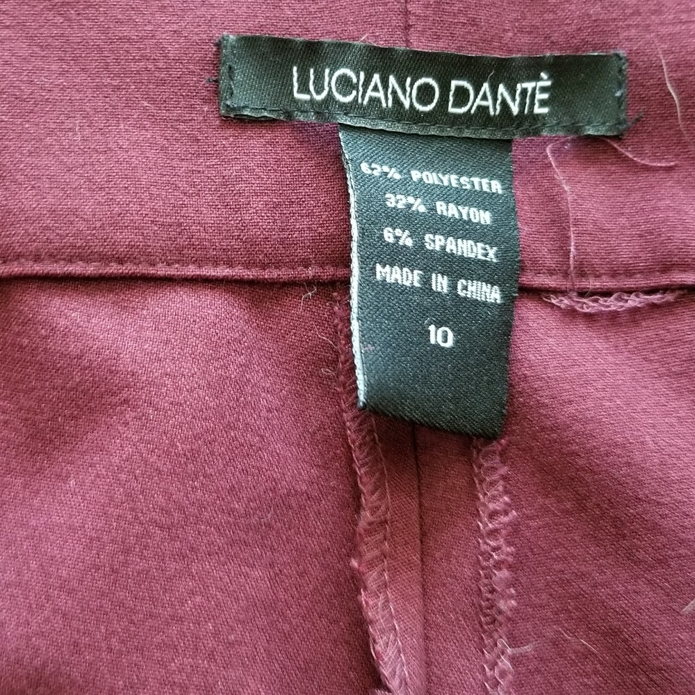 Luciano Dante Dress Pants Size 10